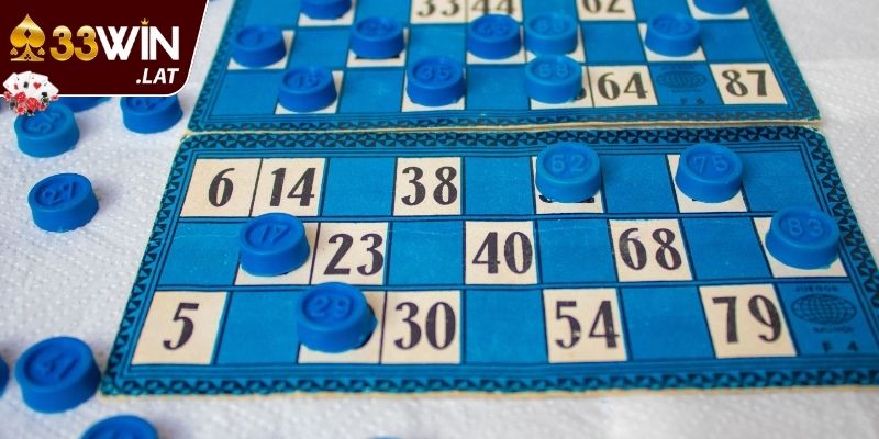 Nuôi dàn đề hiệu quả dựa theo khung kép